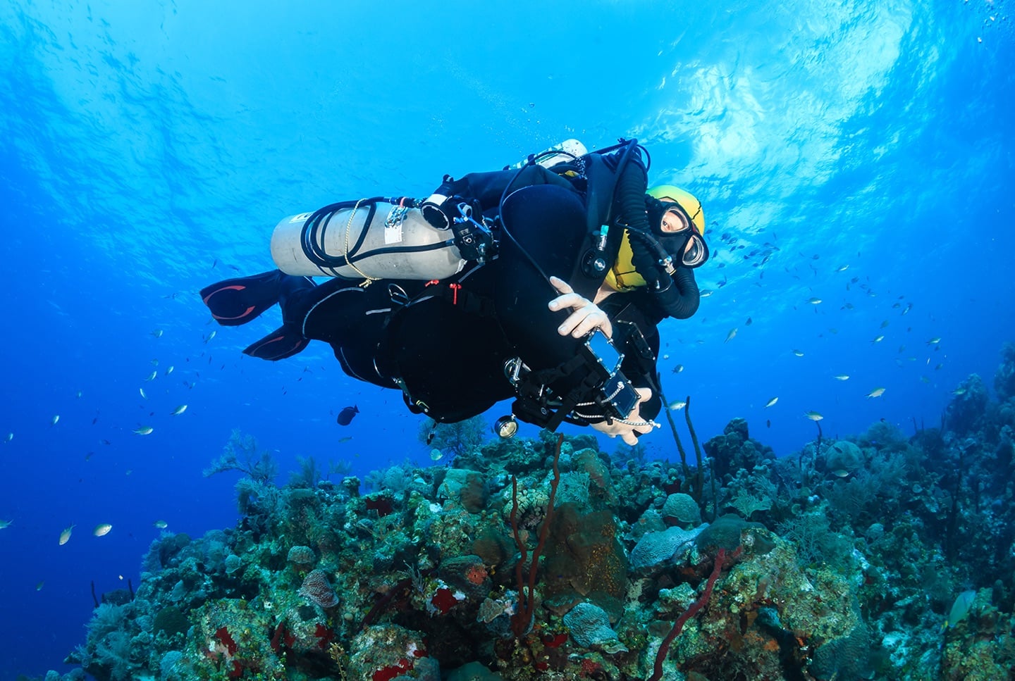 A scuba diver in the ocean looking at the camera